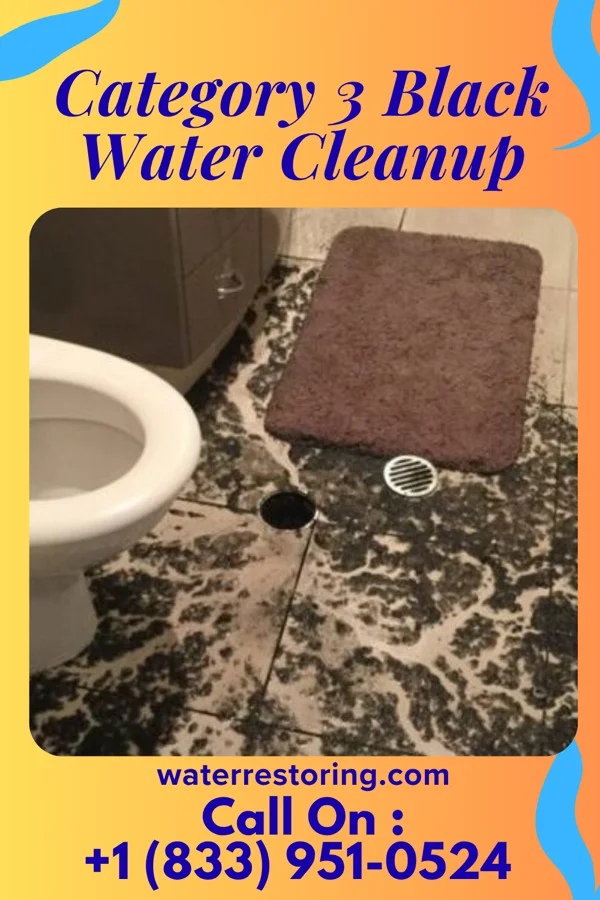 Category 3 Black Water Cleanup in Great Neck Estates, NY