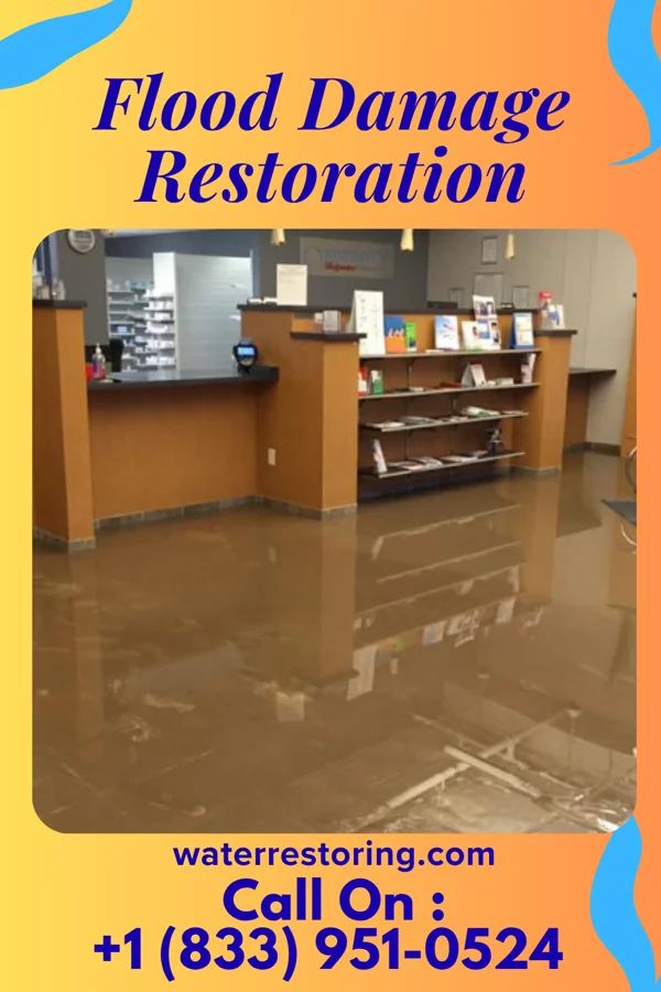 Flood Damage Restoration in Great Neck Estates, NY